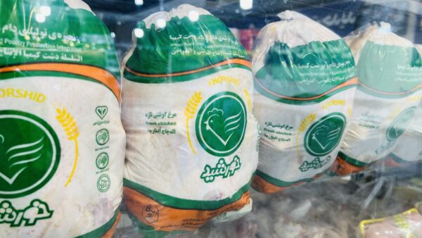 مرغ منجمد