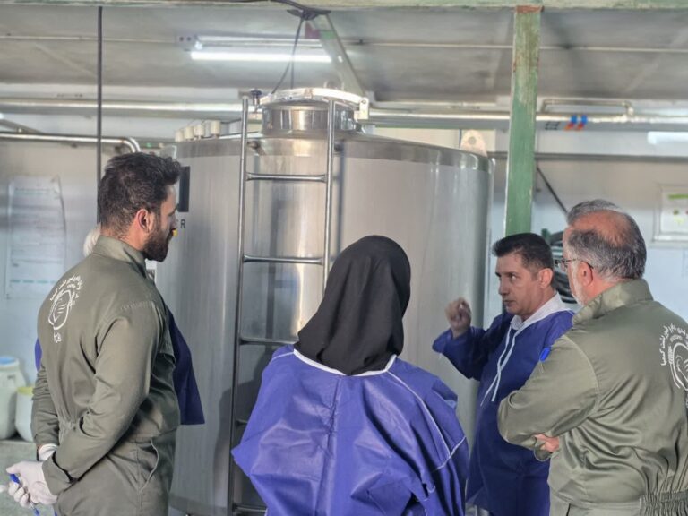 photo_2025-10-22_13-41-16