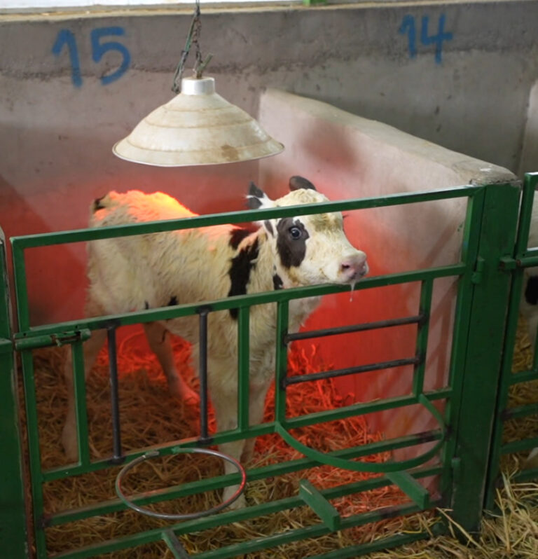 photo_2025-11-01_14-11-29