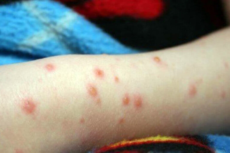 photo_2025-11-03_14-43-04